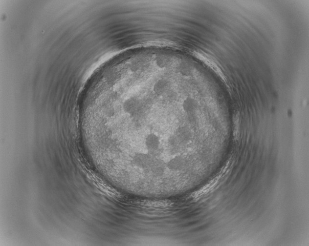 X0000086921021200705071323