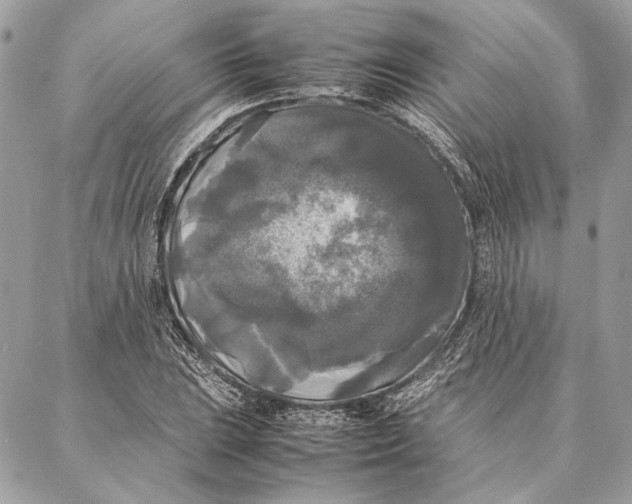 X0000086921023200705071323