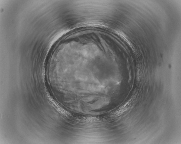 X0000086921024200705071323