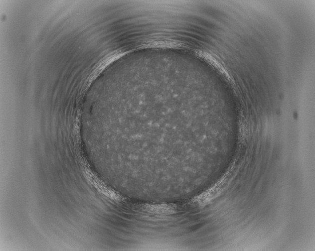 X0000086921025200705071323