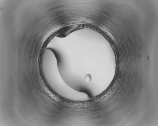 X0000086921026200705071323