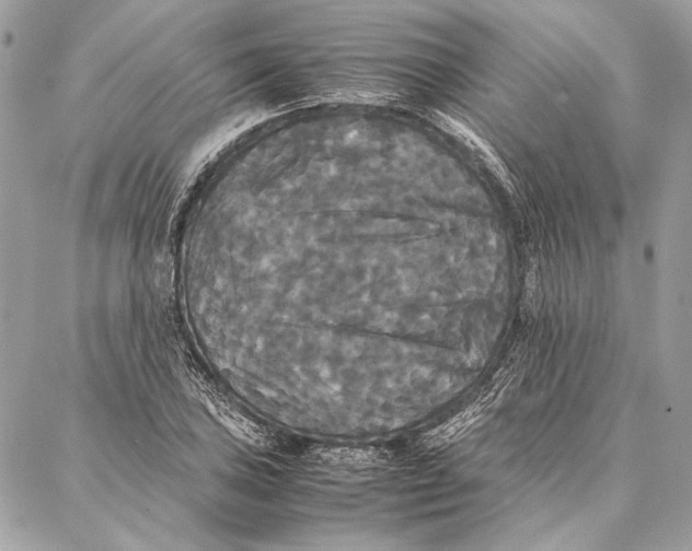 X0000086921027200705071323