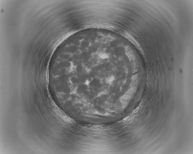 X0000086921028200705071323