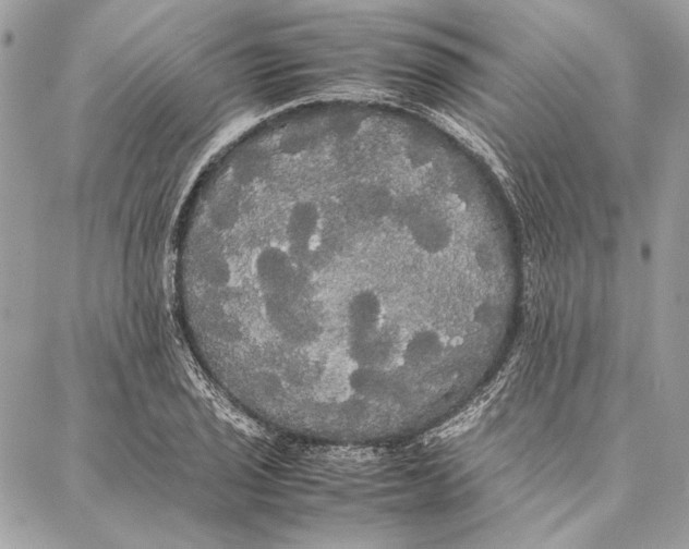 X0000086921029200705071323