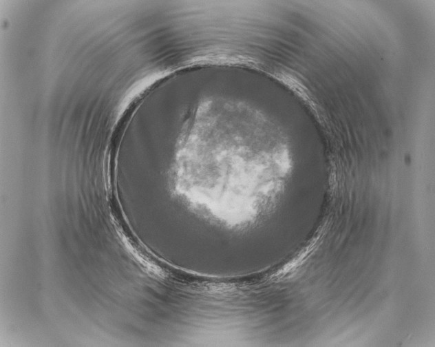 X0000086921030200705071323