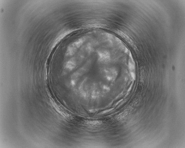 X0000086921031200705071323