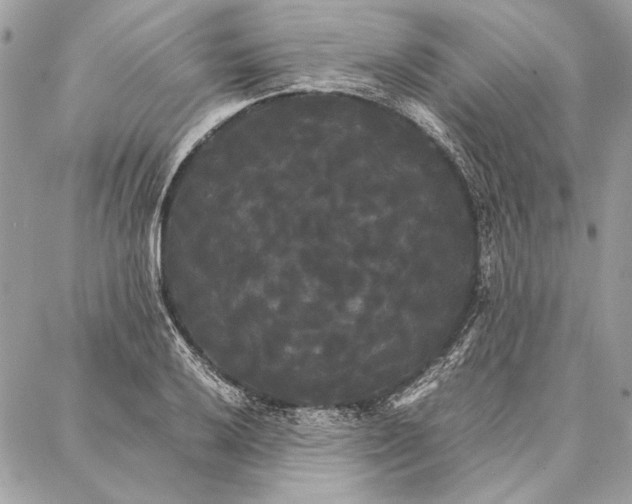 X0000086921032200705071323