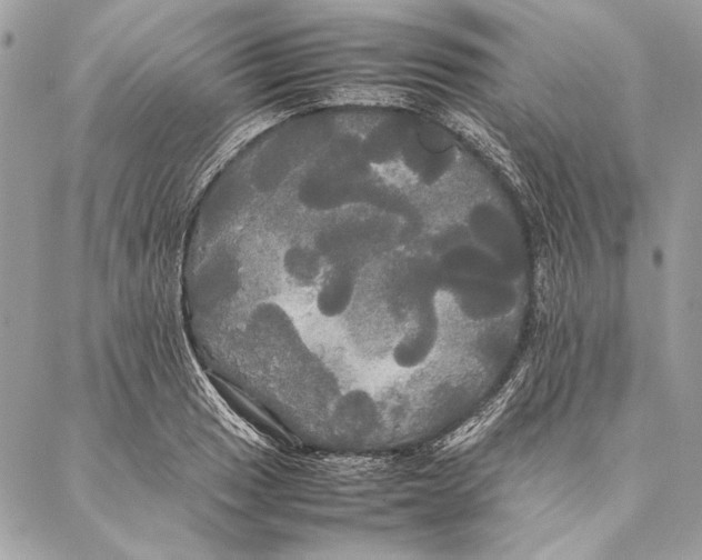 X0000086921033200705071323