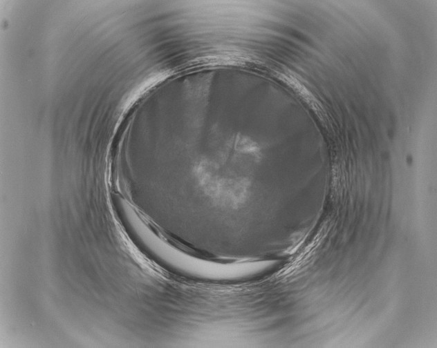 X0000086921034200705071323