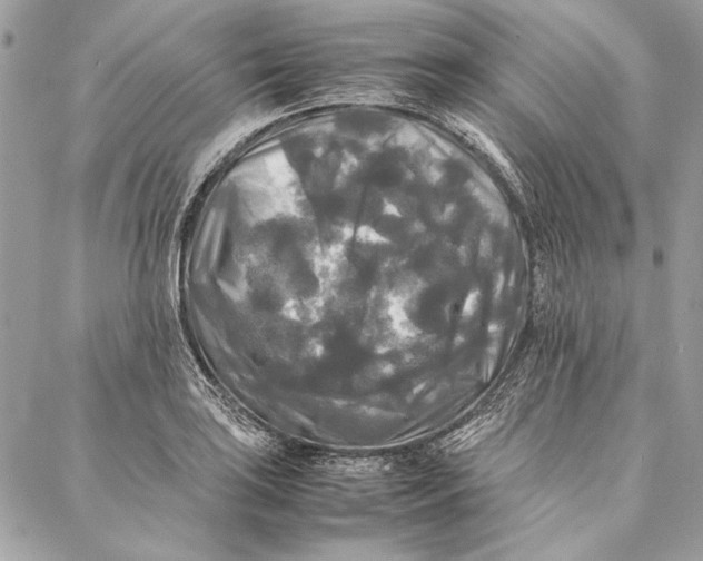 X0000086921035200705071323