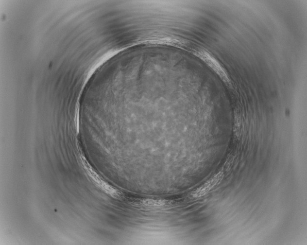 X0000086921036200705071323