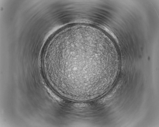 X0000086921037200705071323