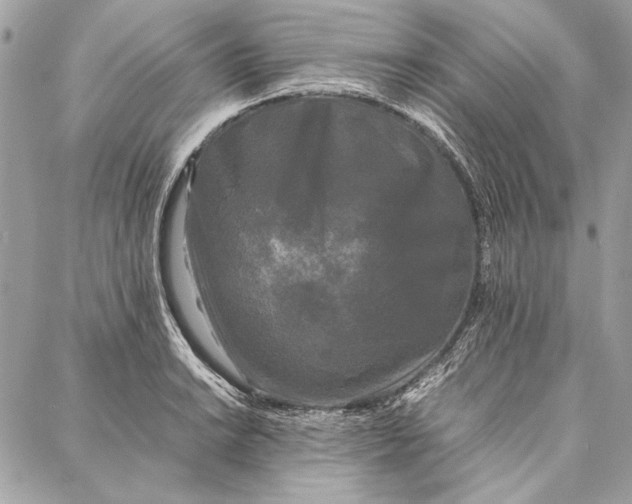 X0000086921038200705071323