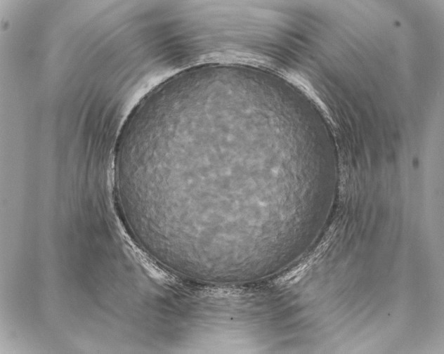 X0000086921040200705071323