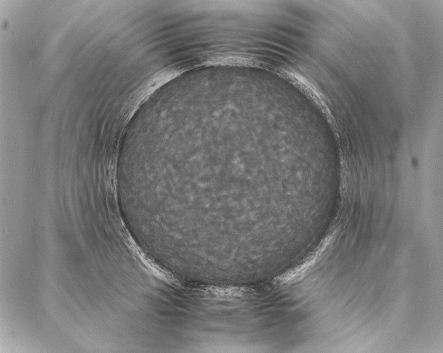 X0000086921041200705071323