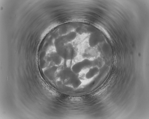 X0000086921043200705071323