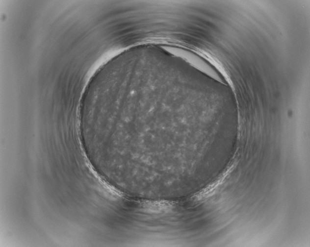 X0000086921045200705071323