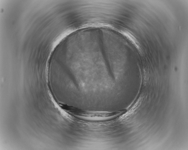 X0000086921046200705071323