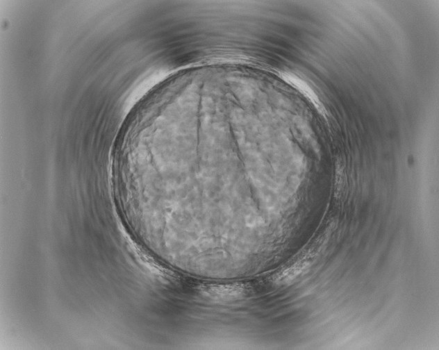 X0000086921047200705071323