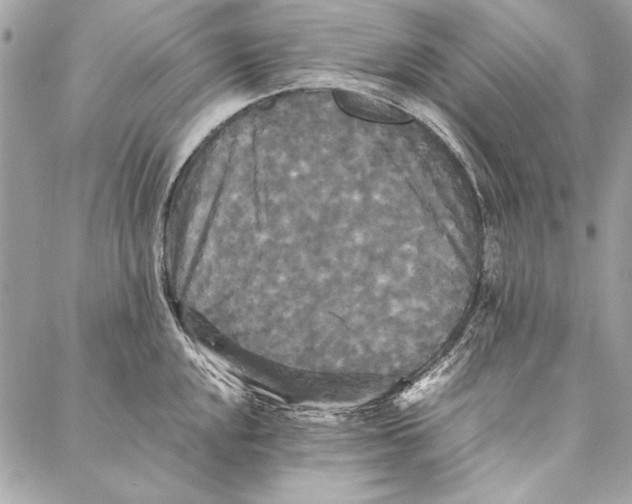 X0000086921048200705071323