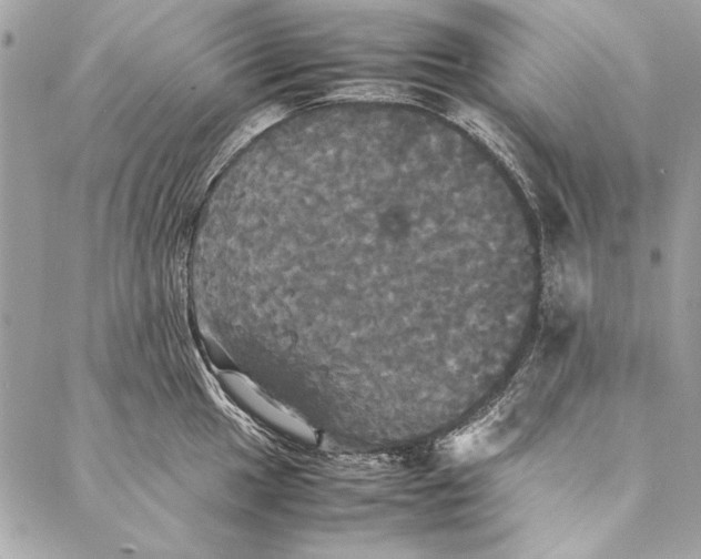 X0000086921049200705071323