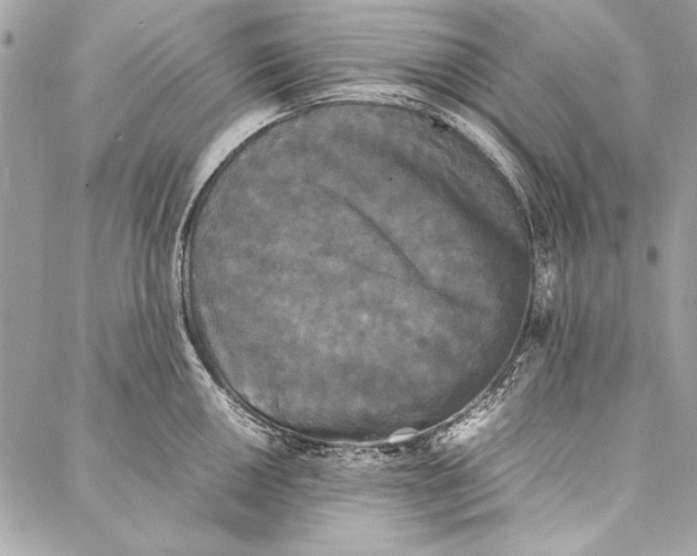 X0000086921050200705071323