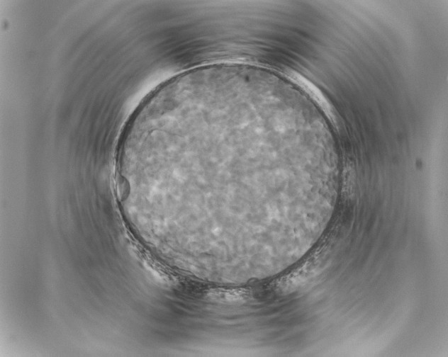 X0000086921051200705071323