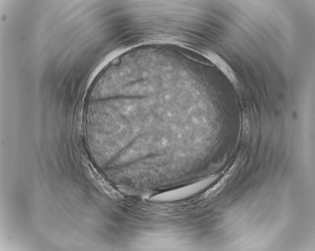 X0000086921052200705071323