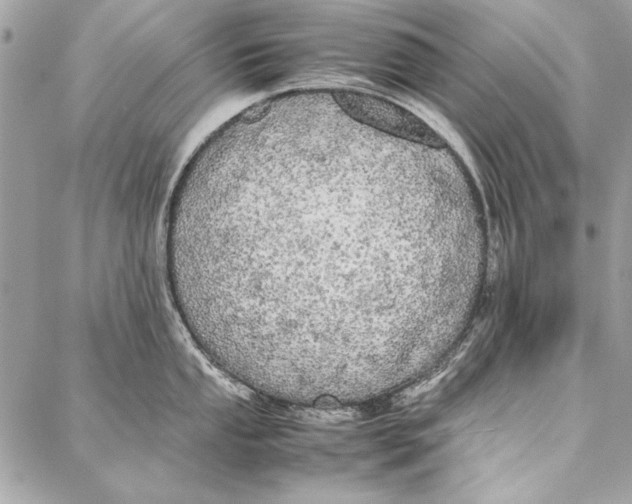 X0000086921053200705071323