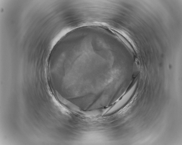 X0000086921054200705071323