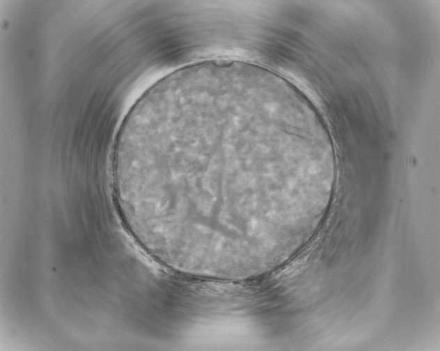 X0000086921056200705071323