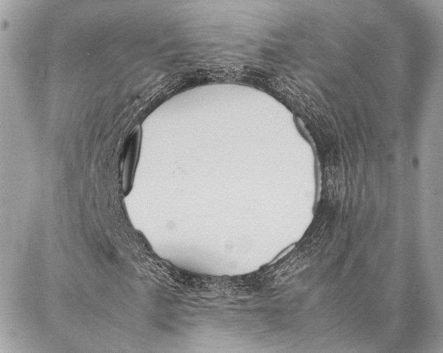 X0000086921057200705071322