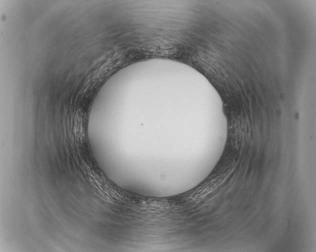 X0000086921058200705071322