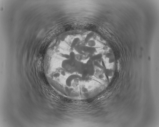 X0000086921059200705071322