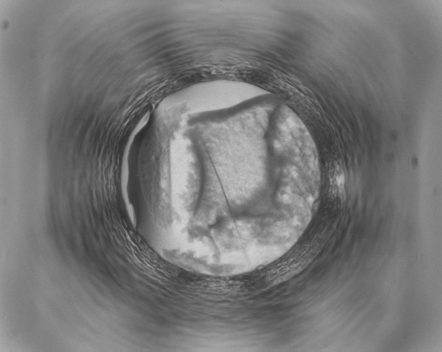 X0000086921060200705071322