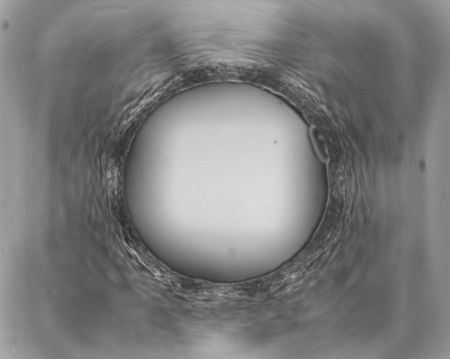 X0000086921061200705071322