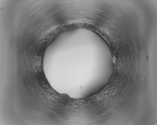 X0000086921062200705071322