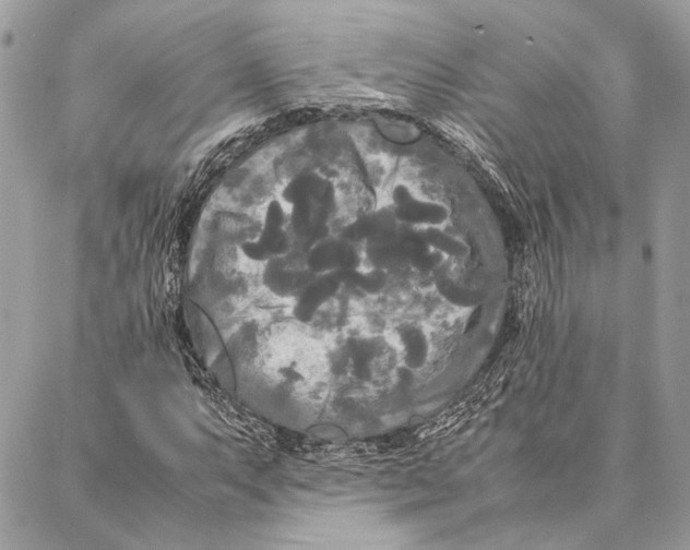 X0000086921063200705071322