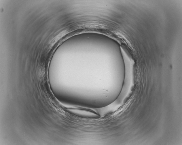 X0000086921065200705071322