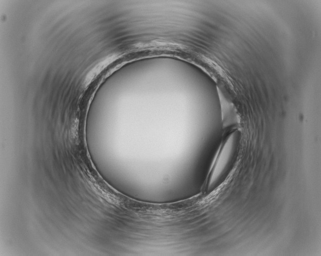 X0000086921066200705071322