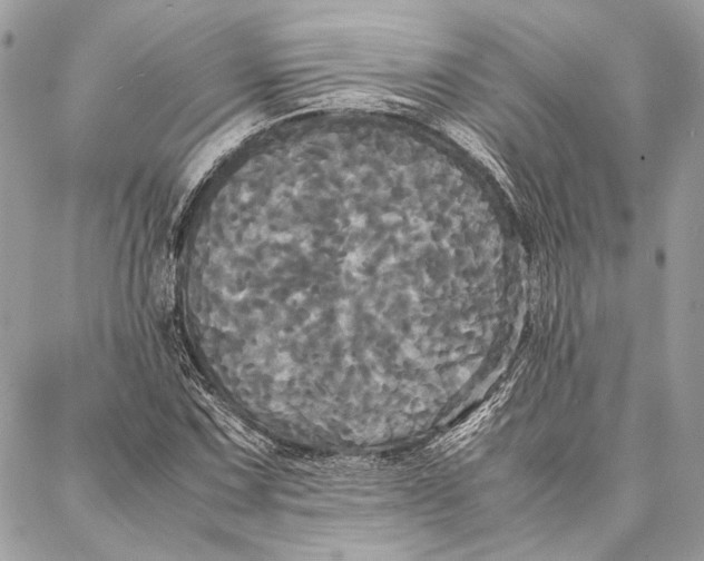 X0000086921067200705071322