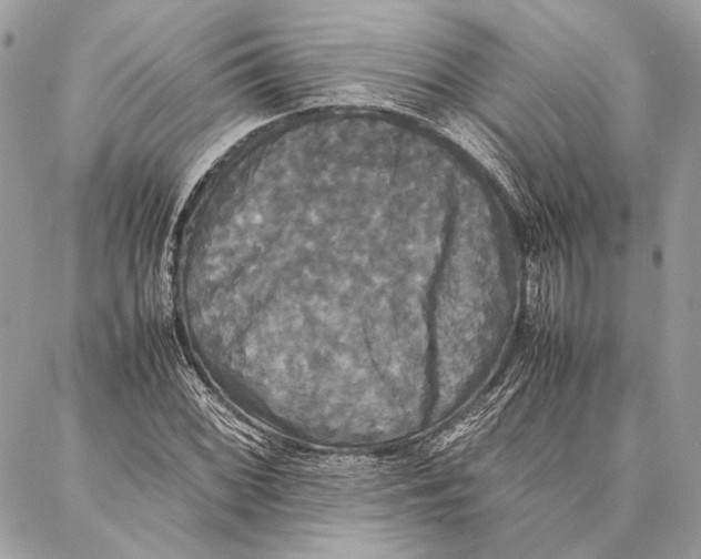 X0000086921068200705071322