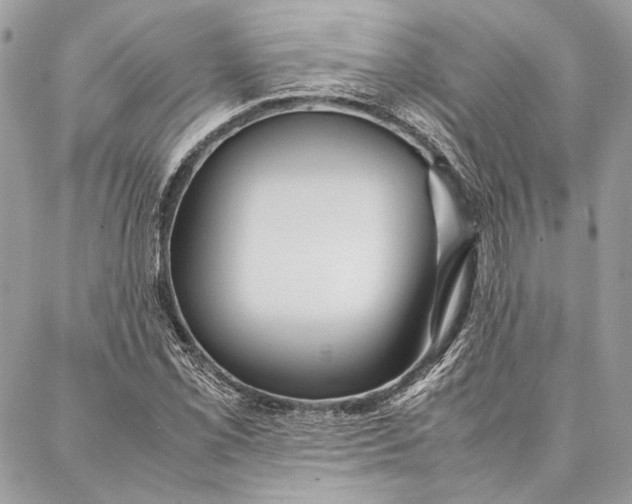 X0000086921069200705071322