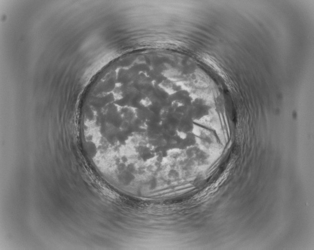 X0000086921071200705071322