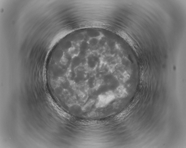 X0000086921072200705071322