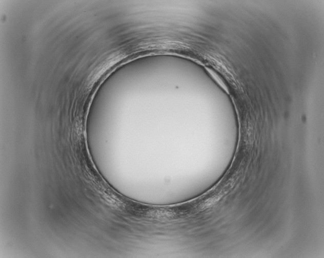 X0000086921073200705071322