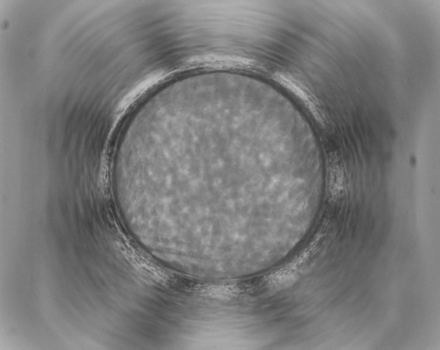 X0000086921074200705071322