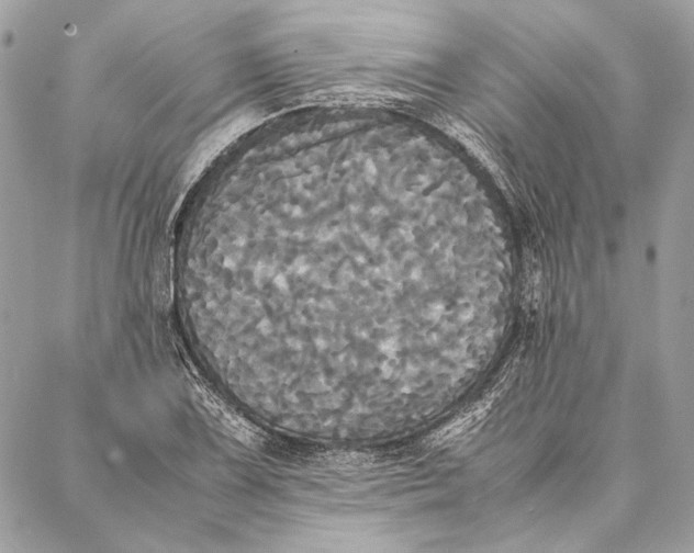 X0000086921075200705071322