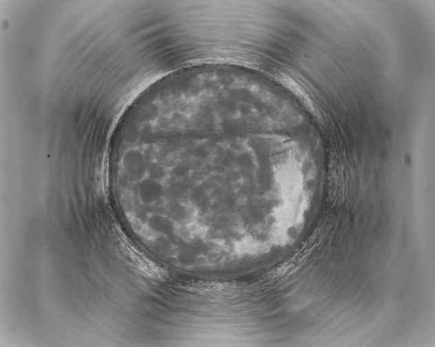 X0000086921076200705071322