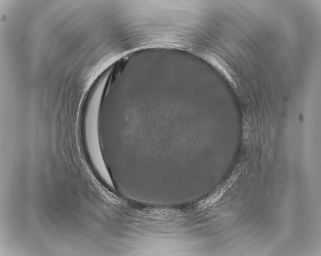 X0000086921077200705071322